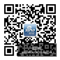 黑马战队电,竞赛事逆袭,品牌赞助助,足球投注网站官网,足球投注网站App,足球投注网站下载,足球投注网站登录,足球投注网站平台